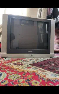 تلوزیون