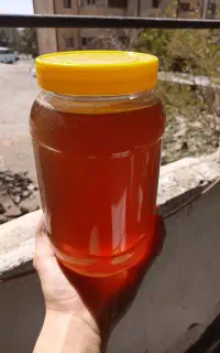 عسل طبیعی وحشی شیرین بدون شکر