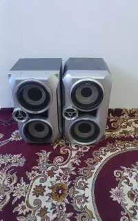 دوعدد باند سالم