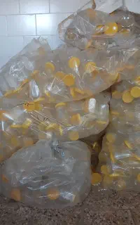 ظرف جا عسل