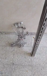 رگال