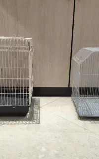 قفس پرنده