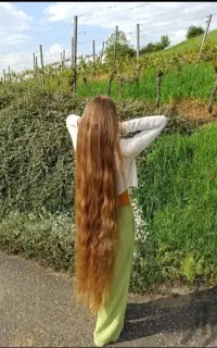خریدار اصلی و صادر کننده مو بدون واسطه و دلال