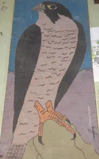 قاب عکس