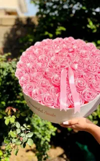 فروش گل های ربانی