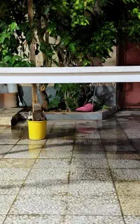 میز غذاخوری چوبی هشت نفره