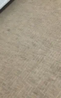 موکت