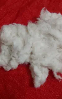 پنبه تشک و بالشت