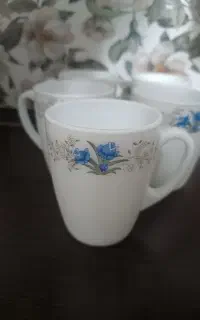 5عددلیوان آرکوپالی