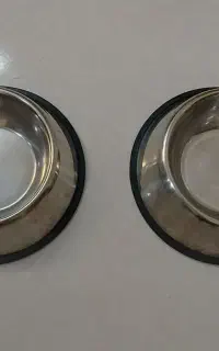 لوازم گربه و سگ