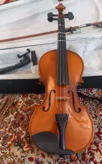 ویولن