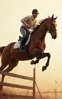 خرید و فروش و ترین اسب