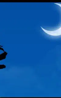 با نصب میلی 15 سوت هدیه ببر