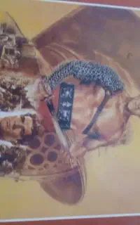 کتاب اسپارتاکوس،هاواردفاست