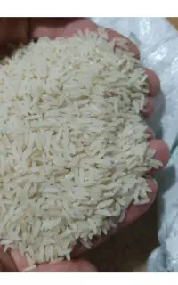 فروش برنج هاشمی
