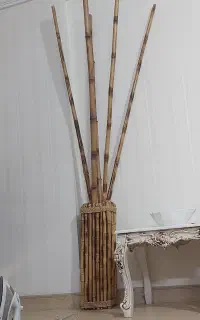 چوب بامبو با گلدون ۵عدد سالم ۳تومان