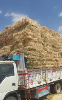 خرید و فروش کاه لوبیا ویونجه،پرس کاه تمام نقاط