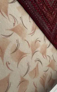 موکت در حد نو