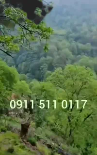 سیم کارت همراه اول09115110117