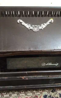 بخارکلبه ای پلار