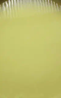 آبغوره تازه