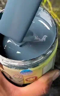 دیوارنویسی و نقاشی