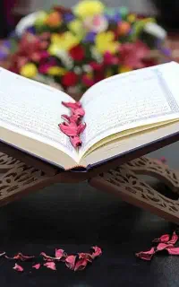 معلم قرآنم همه پایه ها،معلم خصوصی کلاس اول