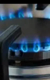 گازسوز نژادعینی گنبد