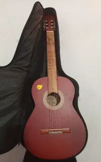 گیتار کاملا نو