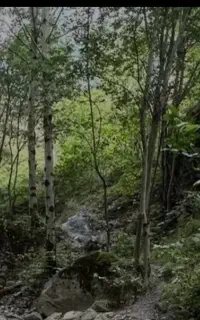 تور