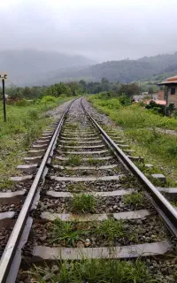 عکاسی طبیعت