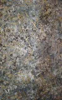 نصاب کاغذ دیواری