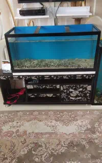 اکواریوم بزرگ ۱ متری