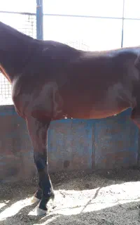 نیازمند منشی و بازاریاب بیمه