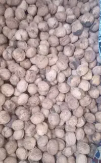 گردو تازه