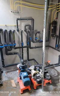 استخر و جکوزی شبانه روزی