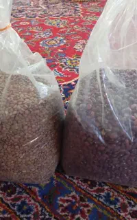 دو بسته لوبیا قرمز و عدس