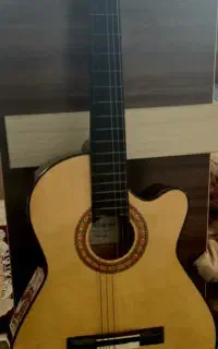 گیتار همراه با کاور