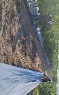 زیر درختی و صیفی جات  و باغی (مالچ)