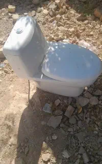 فرنگی خودشور دار صحیح و سالم