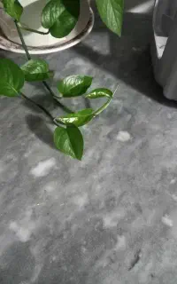 سنگ کابینت واپن