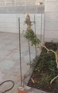 اجاره طبقه بالا حیاط دار پارکینگ مستقل