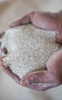 سیلیس پودری،سیلیس دانه نمکی و سیلیس دانه شکری