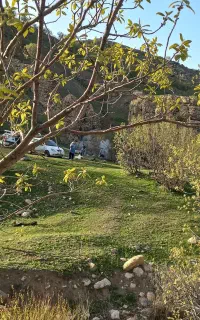 ۱ تن گندم تمیز