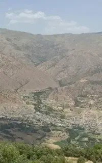 گچکاری