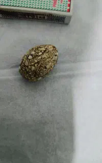 گردنی سنگ له له تیربندک بردجنس مخالف خوب