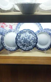 نیروی خدماتی خانم و چیدمان
