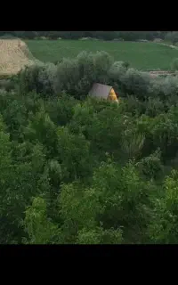 کلبه سوئیسی هنام