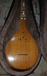 سه تار حرفه ای