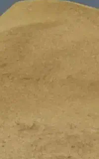 کاه گندم